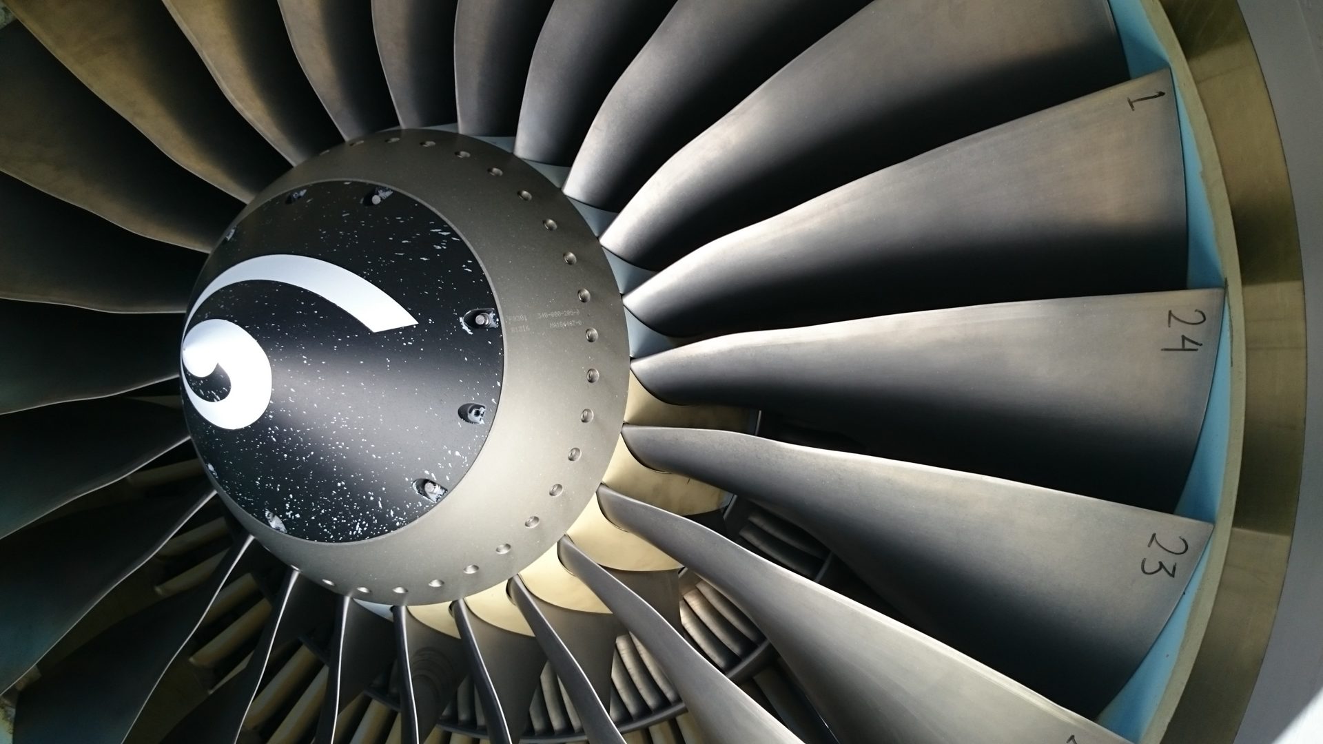 Close-up of a turbofan engine fan blade assembly